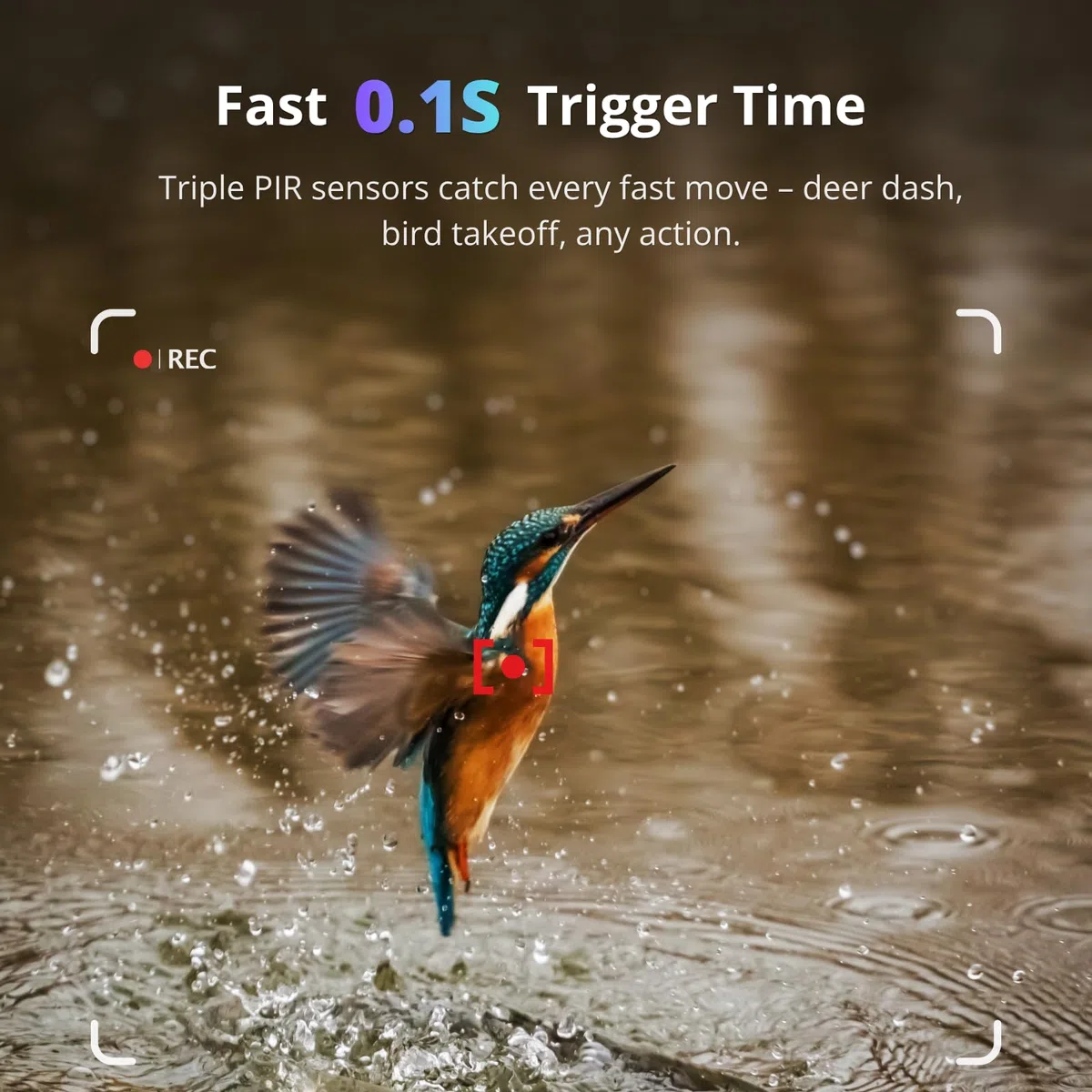 BlazeVideo Wildkamera WLAN mit App，Wildtierkamera Nachtsichtkamera Fotofalle 64MP 1296P Verbinden druch APP Bluetooth Antenne mit Nachtsicht Bewegungsmelder