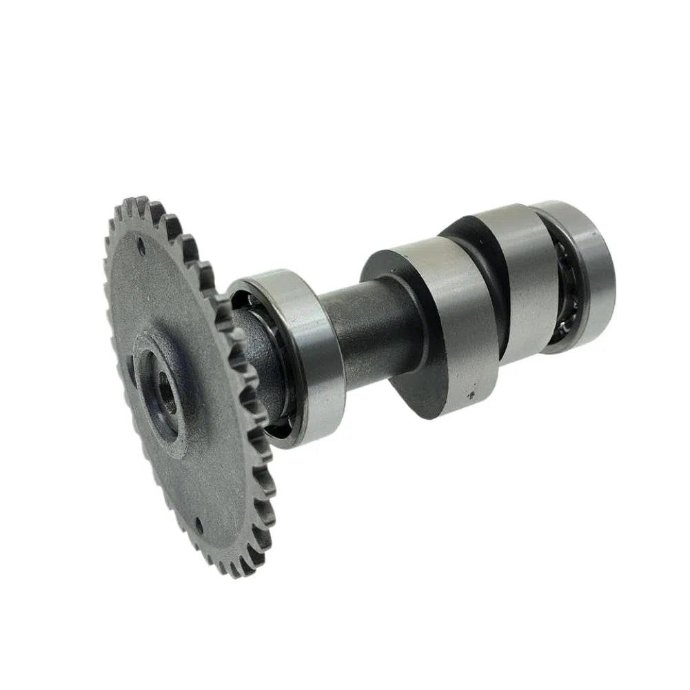 Nockenwelle Kipphebel RESV Für Dinli DL801 DL802 DMX 270 300 350 360 Masai A300 A330 A333 D360R Dämon 360 quadzilla CVT 320(Camshaft)