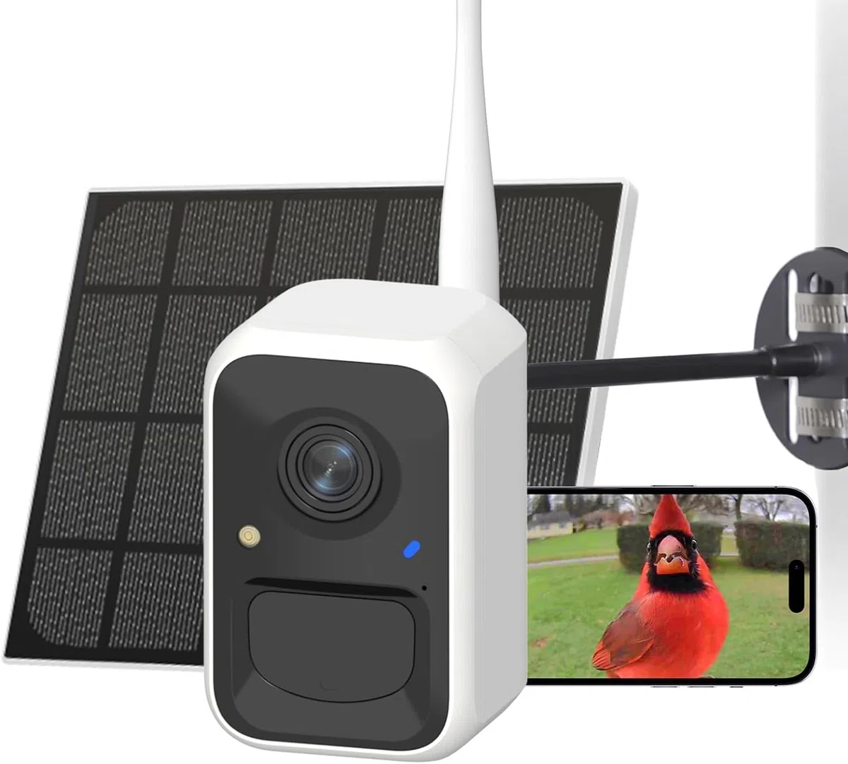 NETVUE Birdfy Intelligente Vogelkamera mit Solarenergie und Verstellbaren Ständern in Jedem Winkel, Erfasst Videos und Empfängt Benachrichtigungen